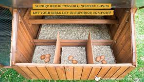 This backyard chicken coop plans create a safe house for the fowl family that blends in with the wooded landscape. Easy Chicken Coop Out Of Pallets My Chicken Coop Plans