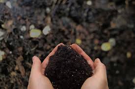 バーク堆肥とは？ 使い方や効果、デメリットなどを紹介します | となりのカインズさん さん