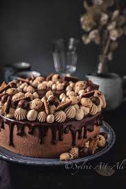 Entremet Chocolat Praline Amuses Bouche Entremet Chocolat Entremet Chocolat Facile Chocolat