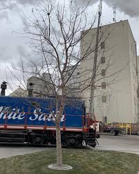 The twin falls fire department and rock creek fire department were on the scene. The Twin Falls Factory Is Amalgamated Sugar Company Facebook