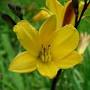 Profile Picture of Mike Huben's Intros - Harmon Hill Farm (@harmonhillfarm.com) on Google