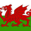 red dragon Wales flag from www.crwflags.com