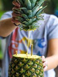 A mature pineapple plant produces a single fruit on the end of a long stem in the center. Let S Make A Pineapple Palm Tree Fruit Tray Recipe Pineapple Palm Palm Tree Fruit Pineapple Palm Tree