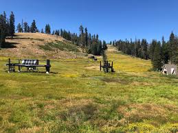 Badger 8/8/24 Snow pack isn't looking great right now.