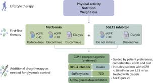 I have studied that diabetes mellitus leads to kidney failure and that this is because of the damage to the blood vessels. Kdigo 2020 Clinical Practice Guideline For Diabetes Management In Chronic Kidney Disease Kidney International