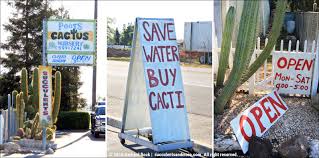 San francisco homes for sale. Annual Pilgrimage To Poot S Cactus Nursery Part 1