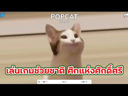The cat will respond to different music! Au Edj20c2ksnm
