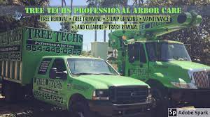 We did not find results for: Tree Techs Professional Arbor Care Reviews Facebook