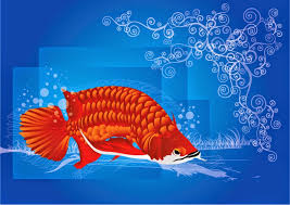 Gambar gambar ini diadaptasi dari sebuah film atau serial kartun yang ada. 18 Gambar Kartun Ikan Arwana Gambar Kartun Ku