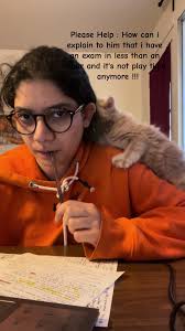 Cats always want attention at bad timing !! 🤦‍♀️ #cutecat #catlover  #cattiktok #babycat #kitten #studentlife #studypartner #fyp #random  #explore #foryoupage