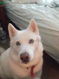 teresa appleton (@tappleton17)