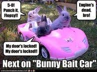 Your meme was successfully uploaded and it is now in moderation. Easter Bunny Memes Pictures Photos Images And Pics For Facebook Tumblr Pinterest And Twitter