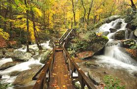 What parts of the city should i visit? Nc Leaf Season When Where To See The Peak Fall Colors Scoop