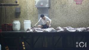 今日活豬供應及拍賣價／明日活豬預計供應 · 過去12個月按月每日平均活豬供應及拍賣價 · 本月每日活豬供應及拍賣價. éžæ´²è±¬ç˜Ÿ é£Ÿè¡›å±€æ˜¨ç¨±èƒç£å± æˆ¿ä¸å¯é—œé–‰ä»Šæ—¥å‡Œæ™¨å¦‚å¸¸ å‡ºè±¬