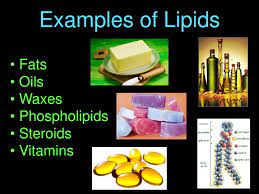 Lipids Ppt Download