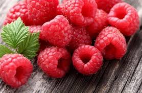 Left unpruned, red raspberries are their own worst weed. Raspberries Medicine In Your Own Garden Freshmagazine