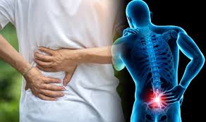 The rib cage is formed by the sternum, costal cartilage, ribs, and the bodies of the thoracic vertebrae. Lower Back Pain Warning Soreness In This Part Of The Body Could Indicate Kidney Stones Express Co Uk