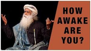 How Awake Are You Sadhguru And Blake Mycoskie Youtube