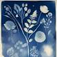 Family Cyanotype Workshop event image