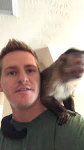 George got a blanket, but was more interested in the mask 😷 😂 #george  #BeautyTutorial #petlife #monkey