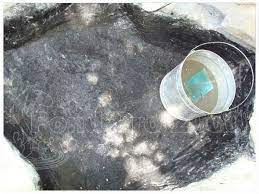 The beauty of it is that it is ideal for both new or old ponds. Pondpro2000 Non Toxic Sealer Is The Best Option For Concrete Pond Leaks Repair Epdm Pond Liner Leak Repair Pond