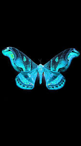 Maybe you would like to learn more about one of these? Blue Butterfly Android Wallpaper 2021 Android Wallpapers