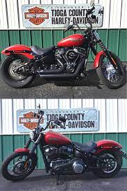 2019 Harley Davidson Softail Street Bob Harley Davidson Street Bob Softail