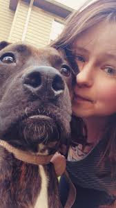 Hello! I recently moved to Portland and am hoping to get some folks  opinions regarding vets in the area. My dog is healthy, up to date