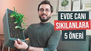 Evde Cani Sikilanlara 5 Oneri Kitap Motivasyon Film