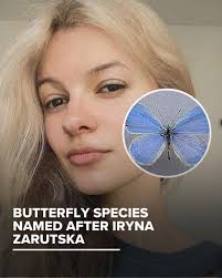 BREAKING: A scientist has named a newly discovered butterfly after Iryna —  ensuring her name and memory live