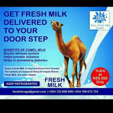 It helps you get the best nutrition through this is why commercial camel milk 'dairies' are nonexistent. Bravo Camel Milk Supplies Food Beverage Company 10 Photos Facebook