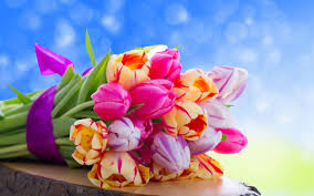 Be inspired by the beauty of nature with this gorgeous collection of flower wallpapers and images. Cute Flower Wallpapers Beautiful Love Wallpapers For Desktop Full Screen 2560x1600 Wallpaper Teahub Io