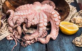 Смотреть видео cocinando pulpo sin agua на v4k бесплатно. Claves Para Limpiar Pulpo De La Manera Correcta En Pocos Pasos