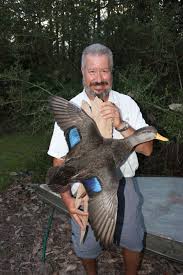 Children toys in flat style. How To Id A Black Duck Vs A Mottled Duck