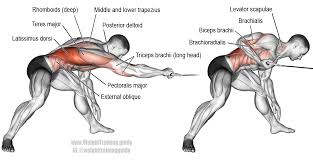 Pin On Exercise Stretching