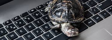 How much should i spend on a laptop. Why Is My Laptop So Slow And How Can I Fix It Hp Tech Takes