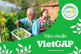 Chứng nhận VIETGAP là gì ?
