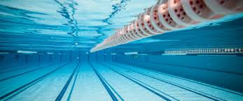 Fins Swim School Kotara