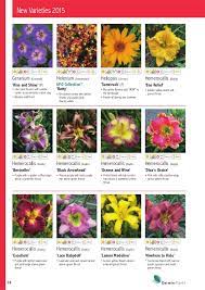 We did not find results for: Katalog Darwin Plants 2015
