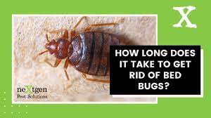 Expert advice & free shipping. 1 Bed Bug Exterminator Canton Ga Nextgen Pest Solutions