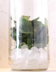Das Perfekte Likor Minz Likor Rezept Mit Bild Und Einfacher Schritt Fur Schritt Anleitung In Eine Grosse Flasche Oder Ei Likor Rezepte Schnaps Rezepte Schnaps