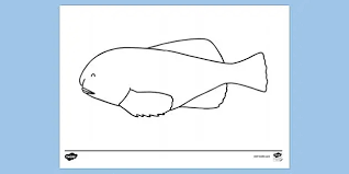 Plus, it's an easy way to celebrate each season or special holidays. Blobfish Colouring Sheet Colouring Sheets