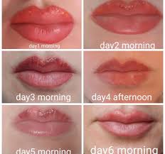 28 Awesome Healing Process Of Lip Tattoo