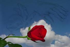 1404 e highwood ln, coeur d'alene, id 83815, usa. Coeur D Alene Florist Coeur D Alene Id Flower Shop Creative Touch Floral