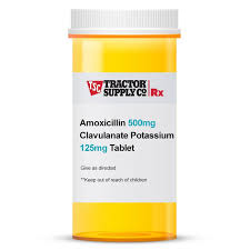 We did not find results for: Dog Antibiotics Pills Ointment Drops And Tablets At Tractor Supply Co