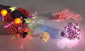 Biomedicines Free Full Text Anthocyanins Vibrant Color Pigments And Their Role In Skin Cancer Prevention Html