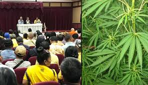แต่ในประเทศไทย โดยปกติแล้วจะถือว่า กัญชงมีสาร tetrahydrocannabinol (thc) ซึ่งมีฤทธิ์ในการกล่อมประสาทต่ำกว่า 1.0% และมีฤทธิ์ในการกระตุ้น. à¸¥à¸²à¸§à¹à¸‰à¸™ à¸à¸à¸²à¸£à¹€à¸¡ à¸­à¸‡à¹„à¸—à¸¢ à¸ˆ à¸²à¸‡à¸›à¸¥ à¸à¸ à¸à¸Šà¸²à¹à¸›à¸¥à¸‡à¹ƒà¸«à¸ à¸œà¸¥ à¸•à¸™ à¸³à¸¡ à¸™ 30 à¸• à¸™ à¸¡ à¸¥à¸„ à¸²à¸«à¸¡ à¸™à¸¥ à¸²à¸™