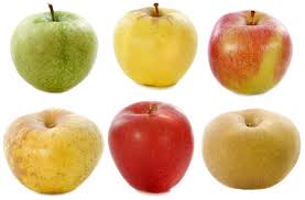How to dry osage orange hedge apples for craft use. Apple Malus Domestica Safety Assessment Of Foods And Feeds Derived From Transgenic Crops Volume 3 Common Bean Rice Cowpea And Apple Compositional Considerations Oecd Ilibrary
