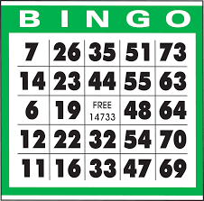 Free Bingo Games To Play Online I Appease My Sister Only Once A Visit Cartelas De Bingo Dicas Para Ganhar Dinheiro Bingo