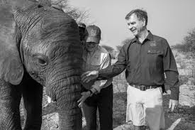 How Orphaned Baby Elephants Gave Debra Stevens a Family